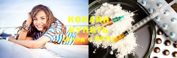 индика Алзамай