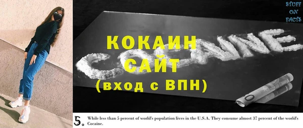 индика Алзамай