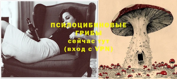 индика Алзамай