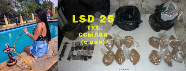 индика Алзамай