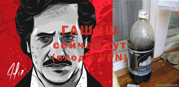 индика Алзамай